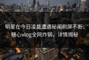 明星在今日凌晨遭遇秘闻刷屏不断，糖心vlog全网炸锅，详情揭秘