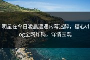 明星在今日凌晨遭遇内幕迷醉，糖心vlog全网炸锅，详情围观